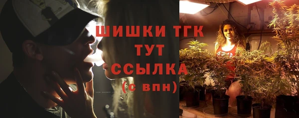 прущая мука Рославль
