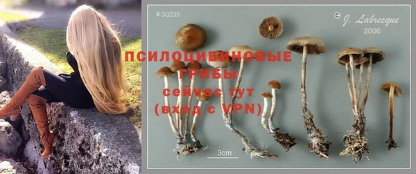 COCAINE Бородино