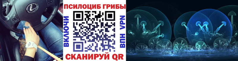 Галлюциногенные грибы MAGIC MUSHROOMS  hydra ССЫЛКА  darknet наркотические препараты  Гдов 